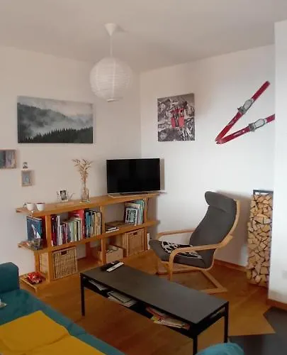 Appartement Chenille 2 Pieces Plein Pied Avec Jardin Et Vue Magnifique Leysin